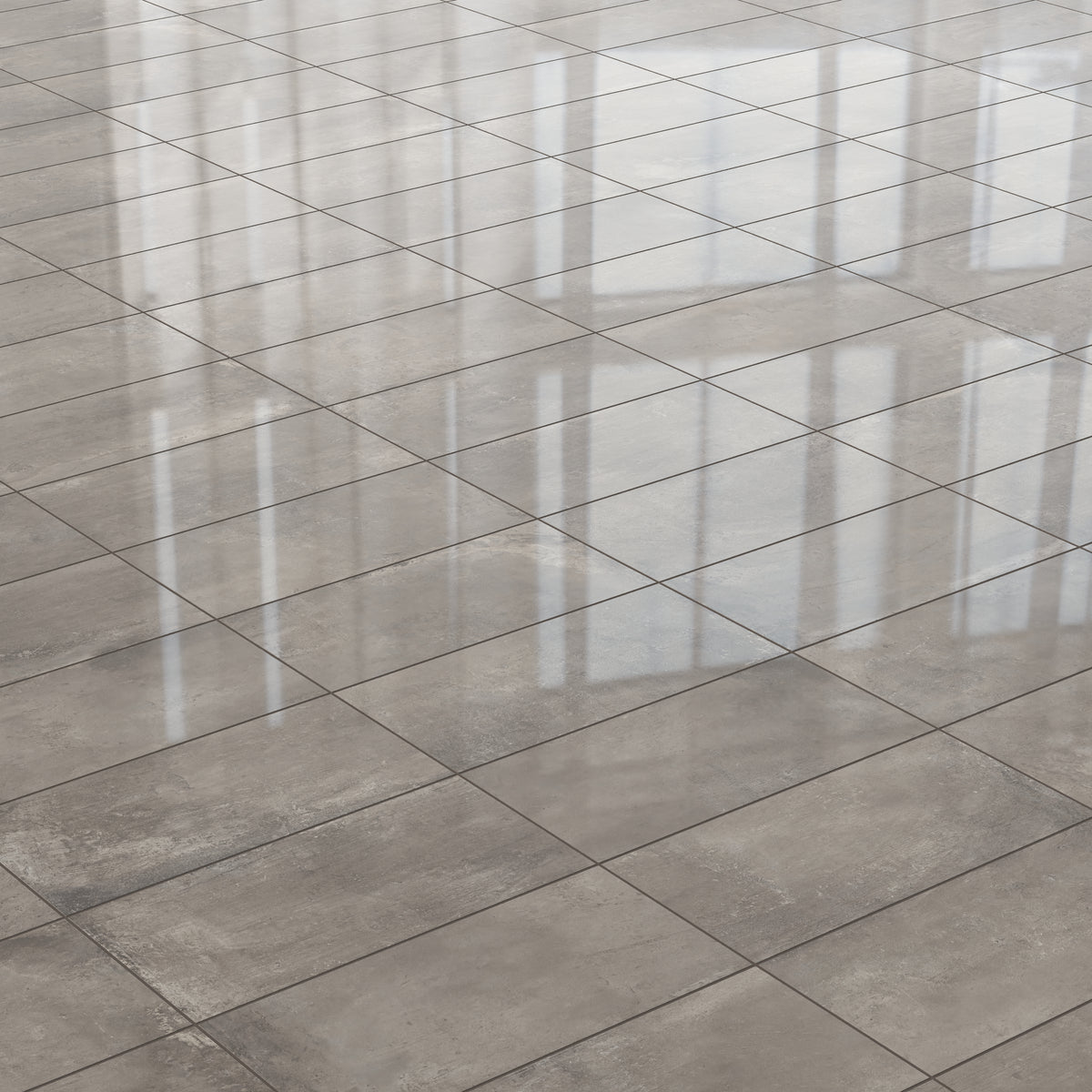 Ramsey 12 x 24 Polished Porcelain Tile in Plumb