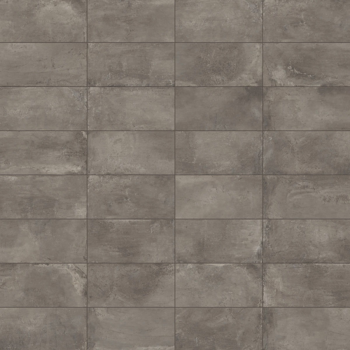 Ramsey 12 x 24 Polished Porcelain Tile in Plumb