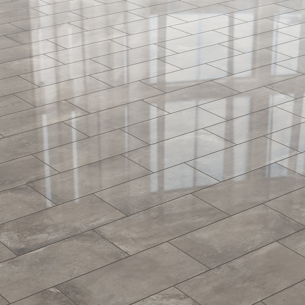 Ramsey 12 x 24 Polished Porcelain Tile in Plumb
