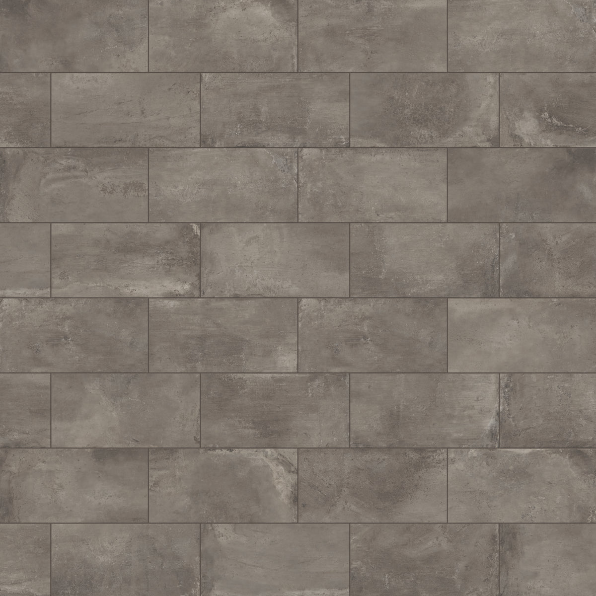 Ramsey 12 x 24 Polished Porcelain Tile in Plumb
