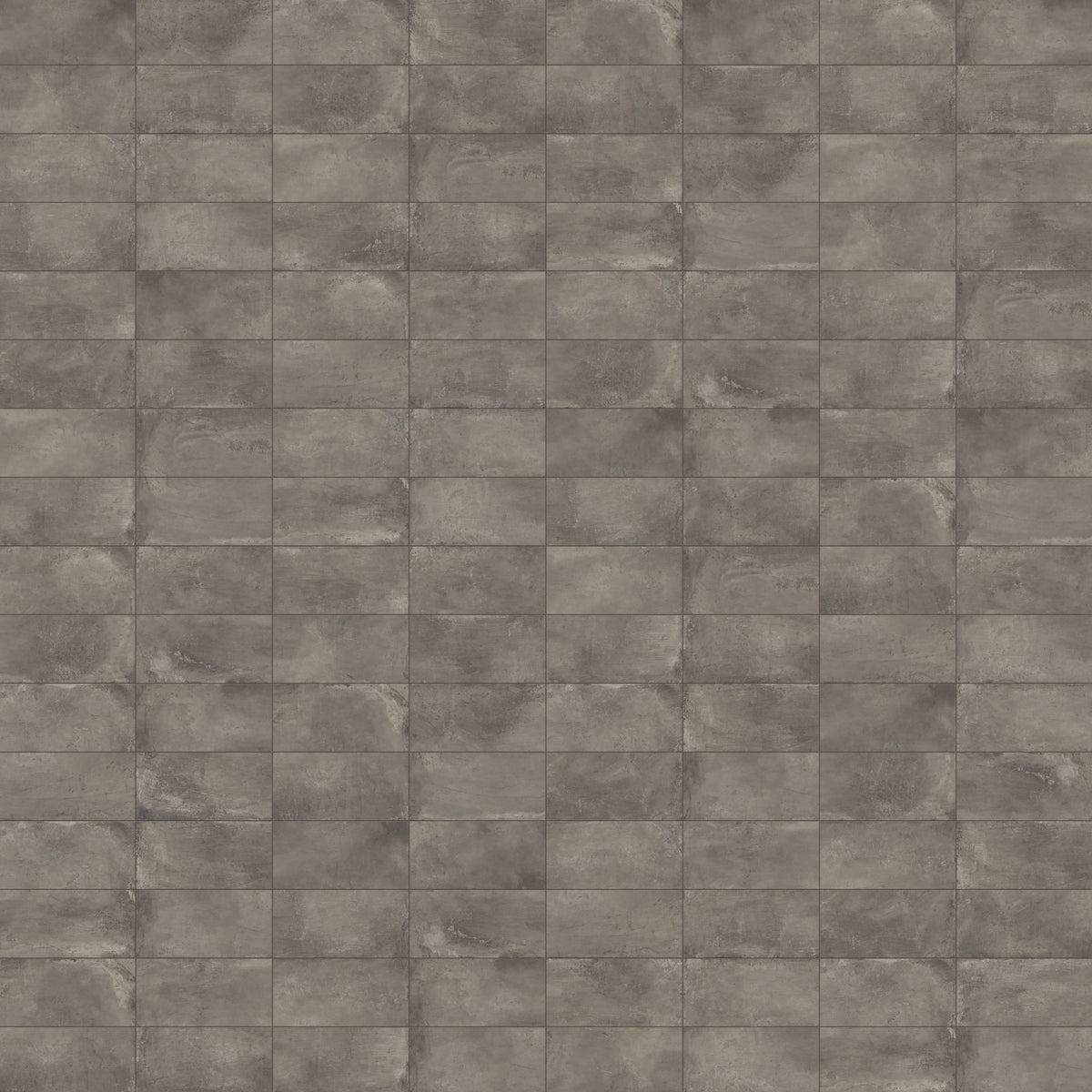 Ramsey 12 x 24 Polished Porcelain Tile in Plumb