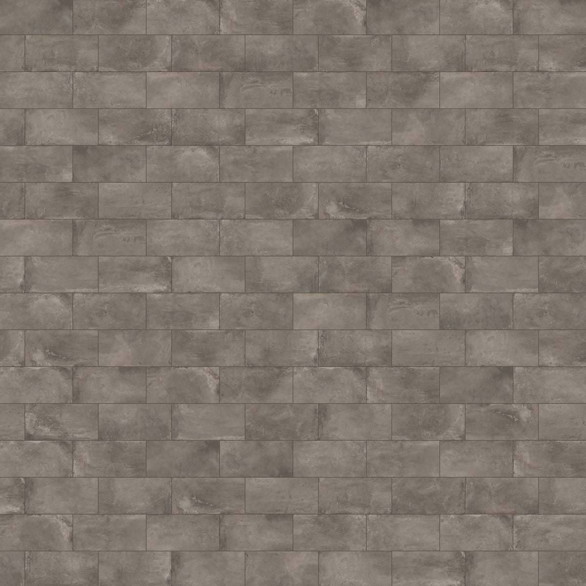 Ramsey 12 x 24 Polished Porcelain Tile in Plumb