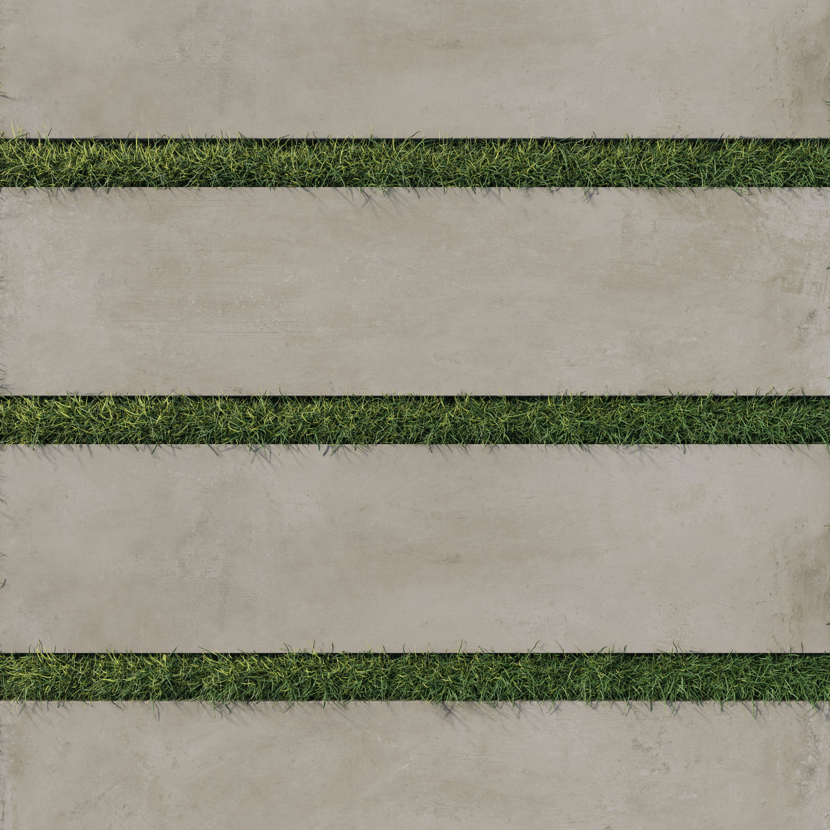 12x48 porcelain pavers in lighter taupe tones, designed for outdoor spaces with a natural concrete texture and grassy separations