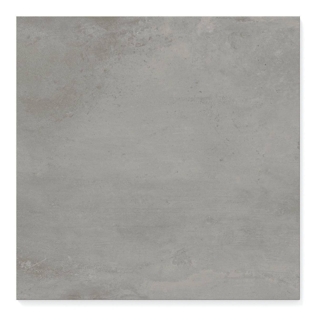 Ramsey 24 x 24 Polished Porcelain Tile in Ash