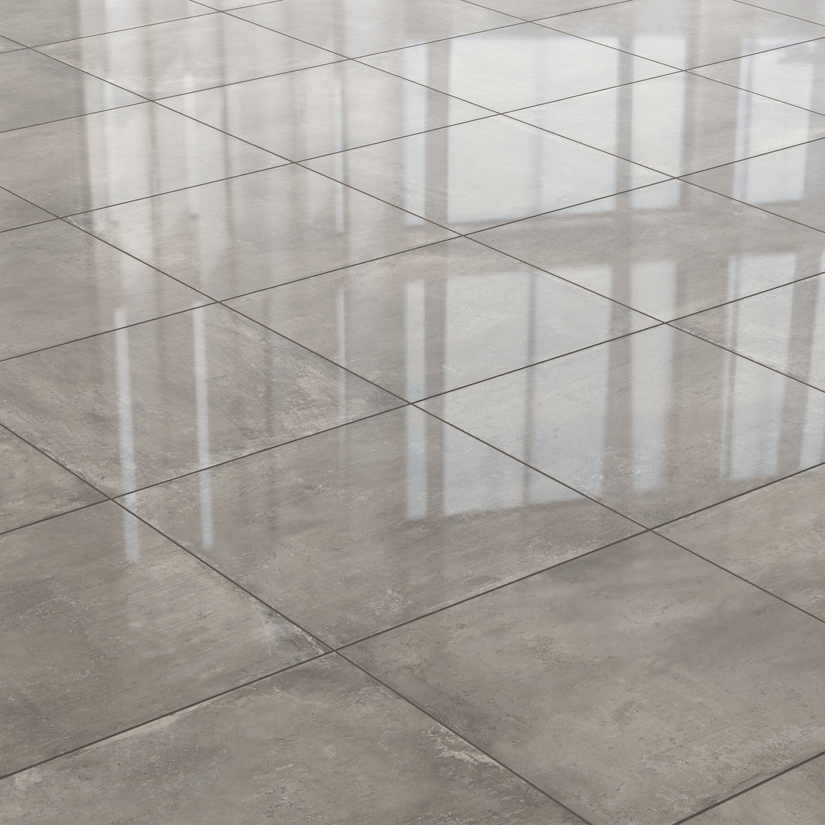 Ramsey 24 x 24 Polished Porcelain Tile in Plumb