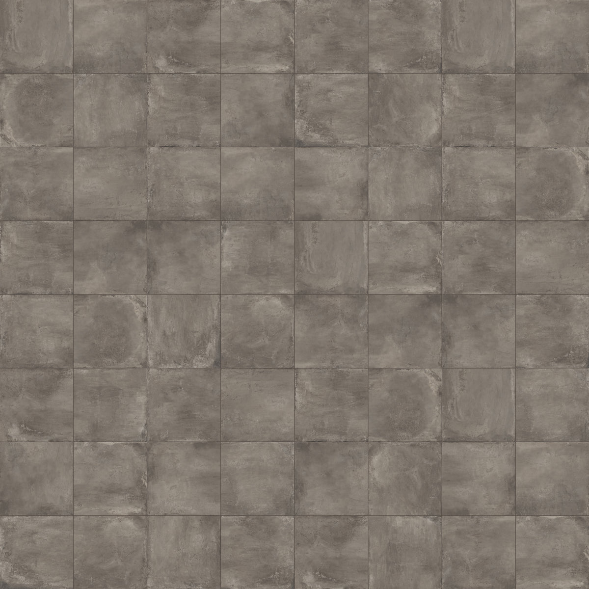 Ramsey 24 x 24 Polished Porcelain Tile in Plumb
