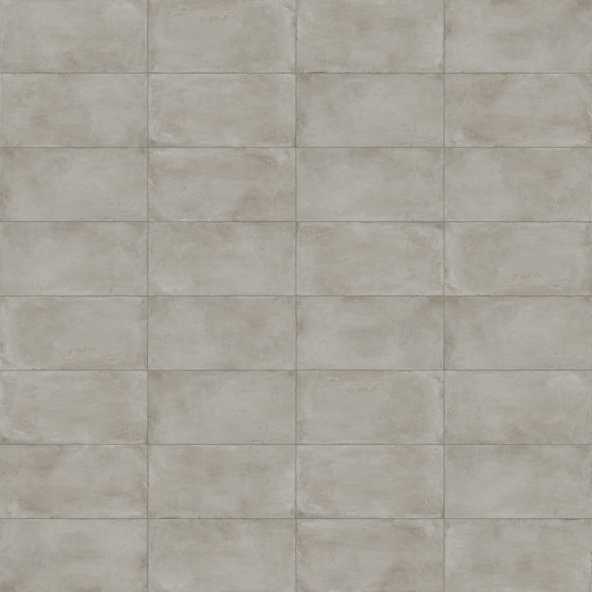 Ramsey 24 x 48 Polished Porcelain Tile in Putty