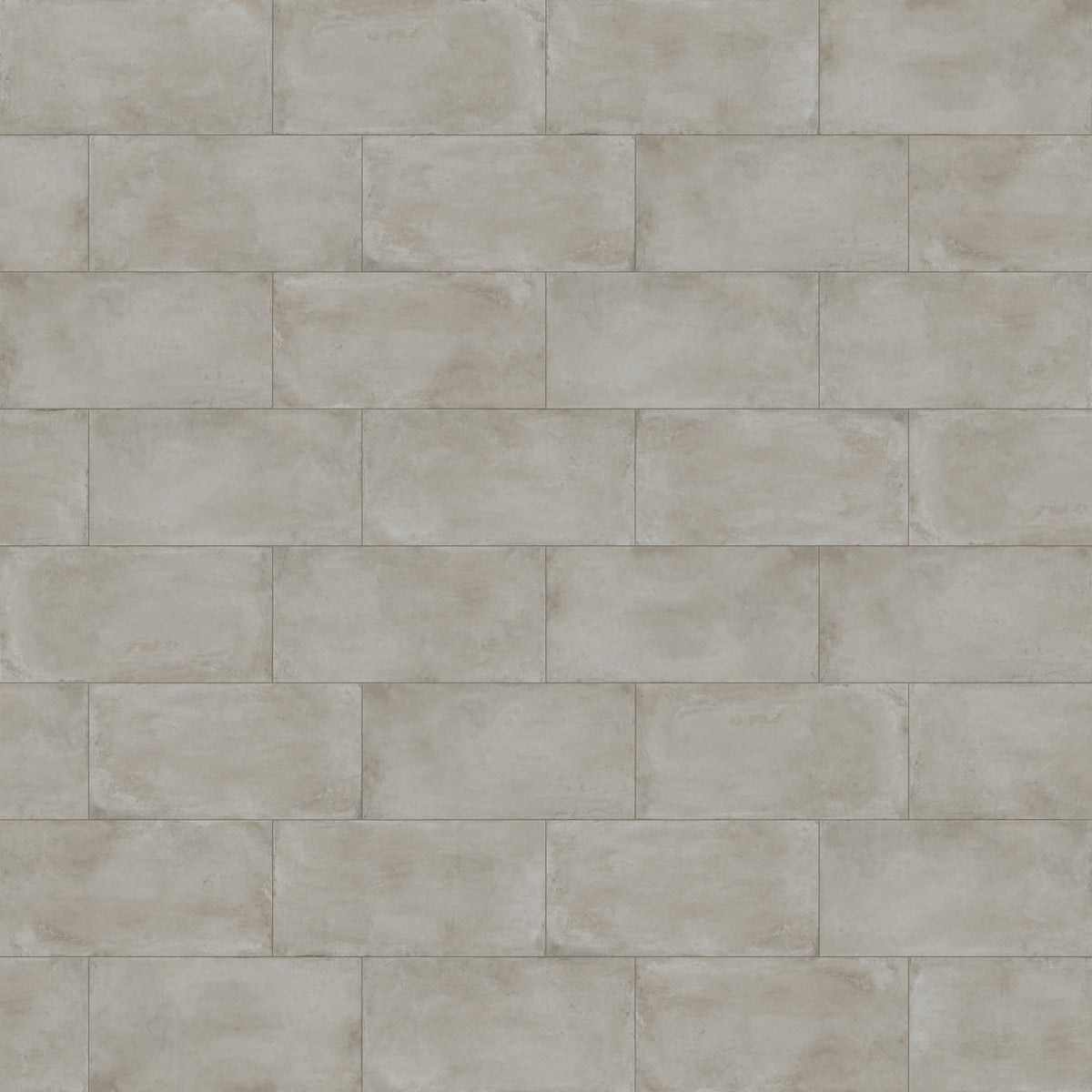 Ramsey 24 x 48 Polished Porcelain Tile in Putty