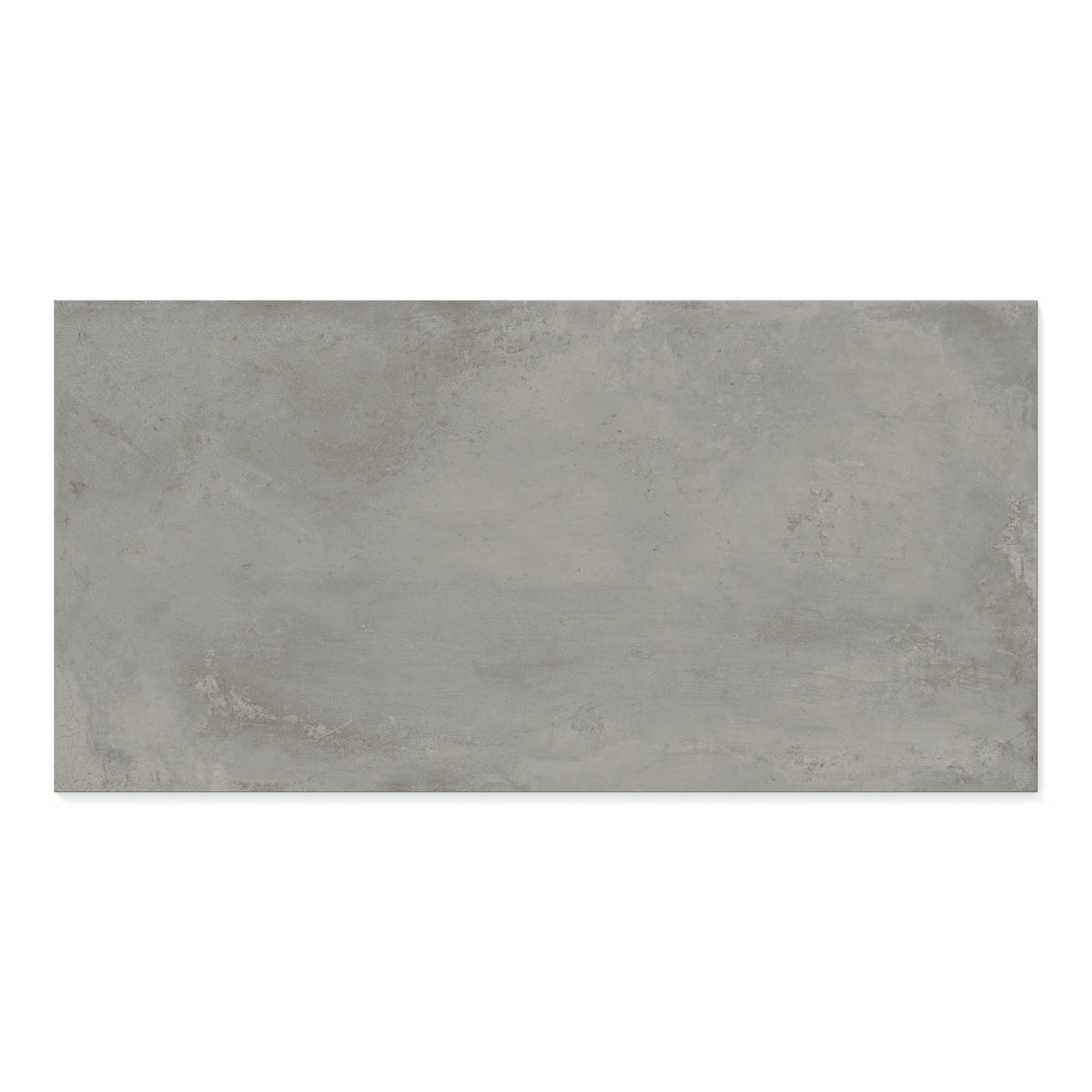 Ramsey 24 x 48 Polished Porcelain Tile in Ash