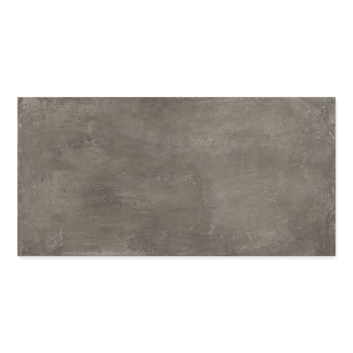 Ramsey 24 x 48 Polished Porcelain Tile in Plumb