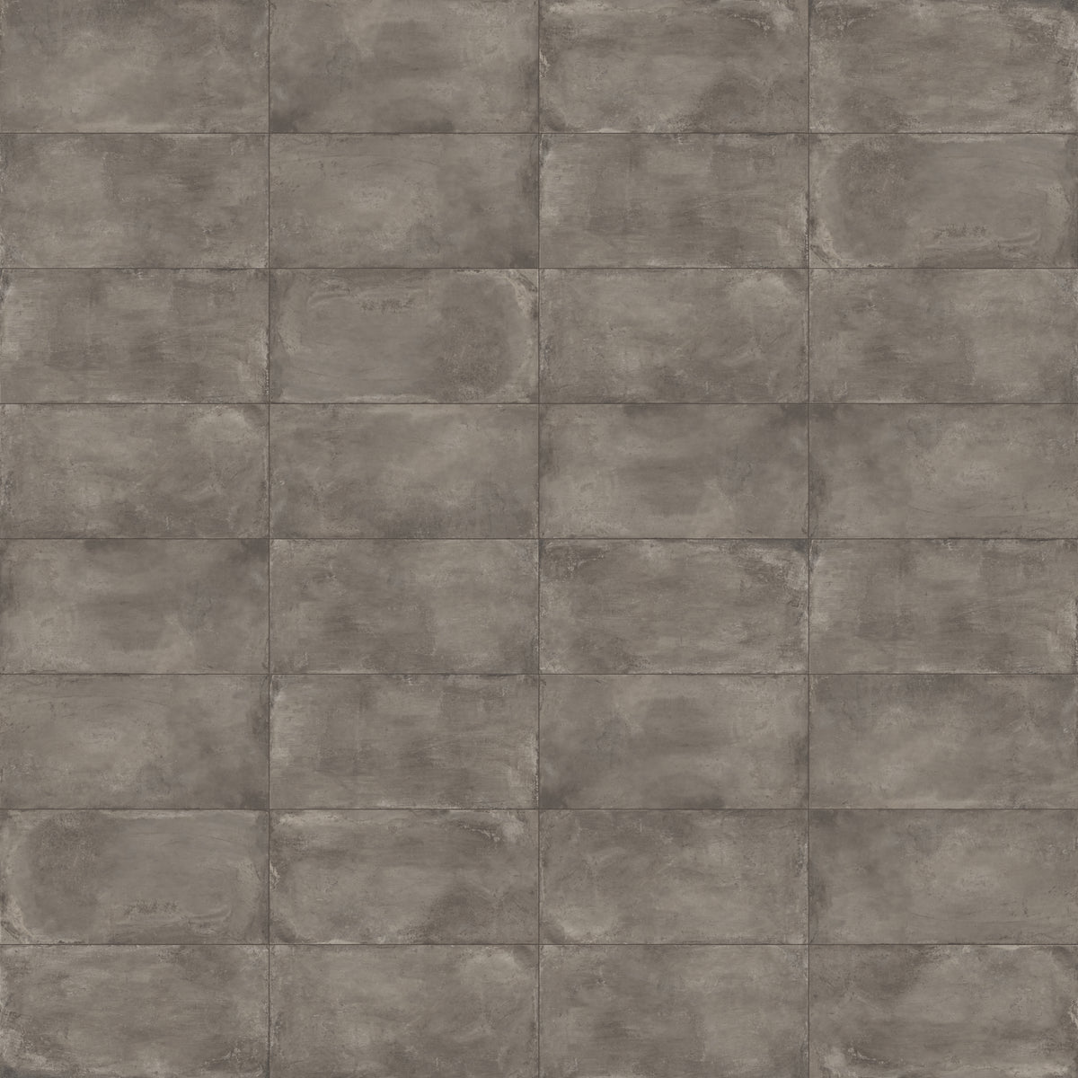 Ramsey 24 x 48 Polished Porcelain Tile in Plumb