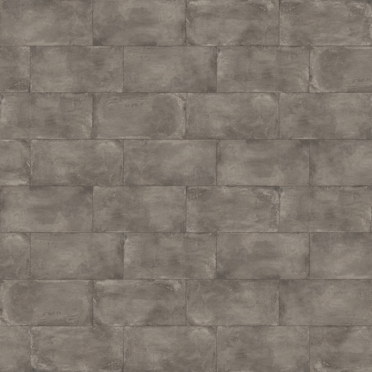 Ramsey 24 x 48 Polished Porcelain Tile in Plumb
