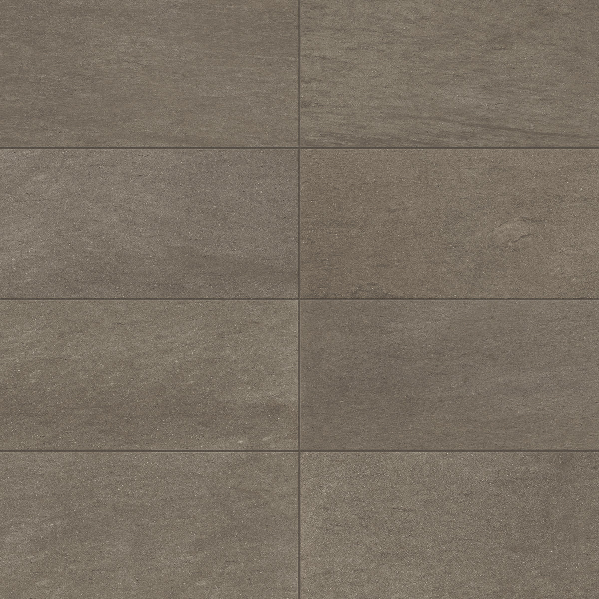 Brody 12 x 24 Matte Porcelain Tile in Dark Grey