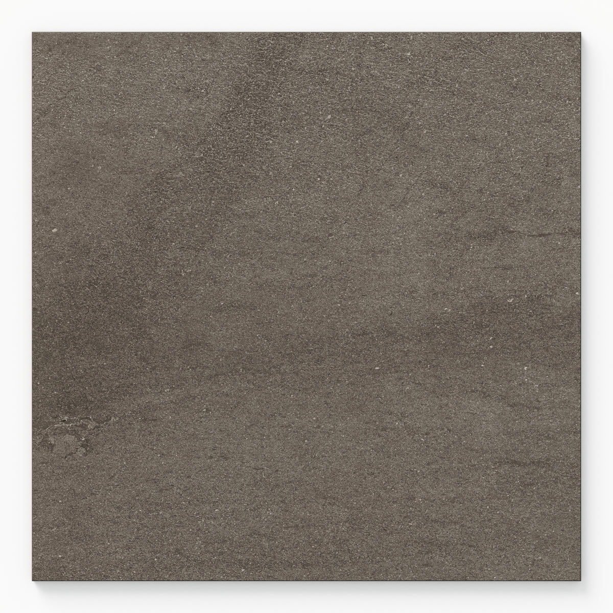 Brody 24 x 24 Matte Porcelain Tile in Nut