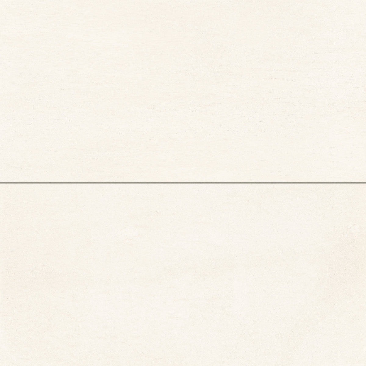 Brody 24 x 48 Matte Porcelain Tile in White
