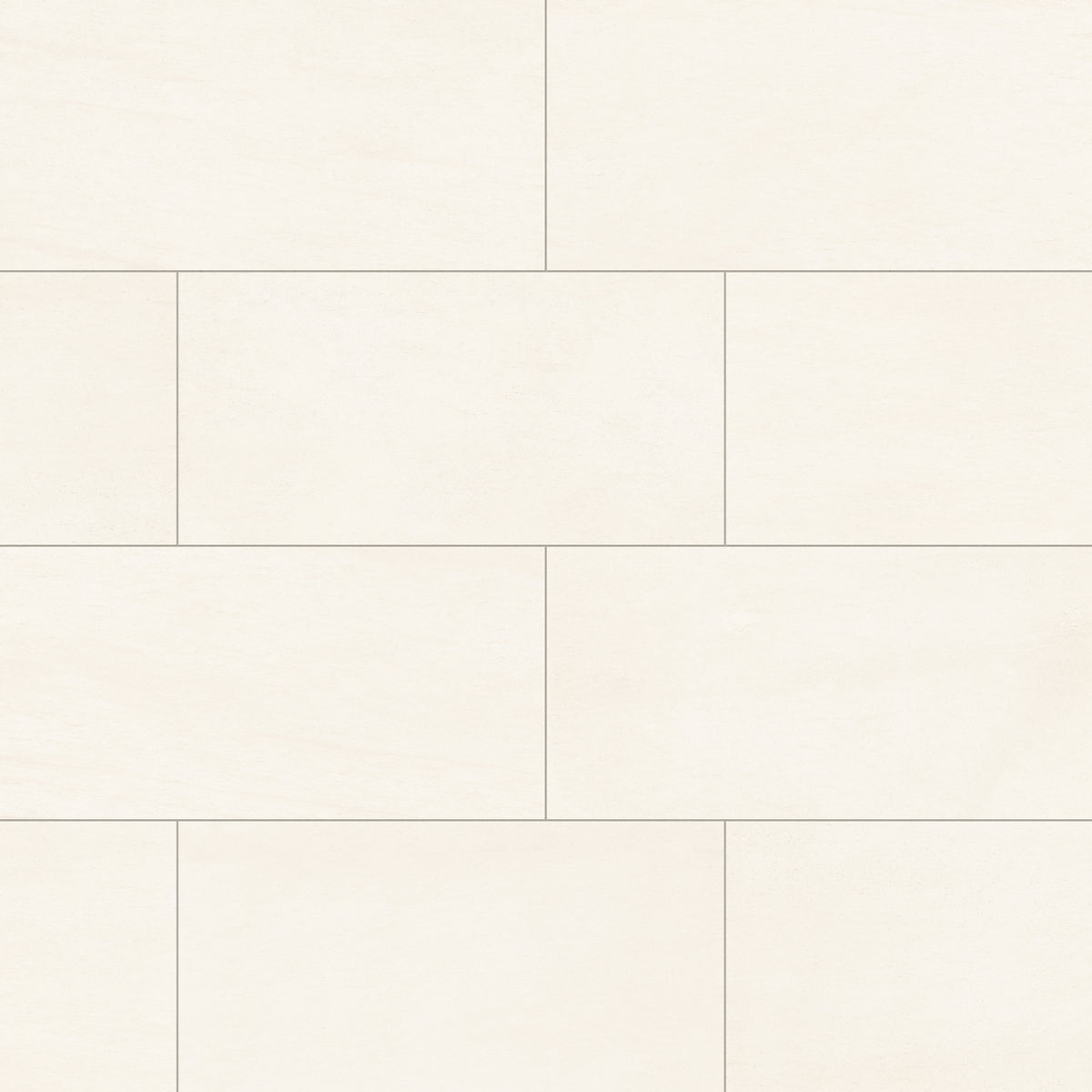 Brody 24 x 48 Matte Porcelain Tile in White