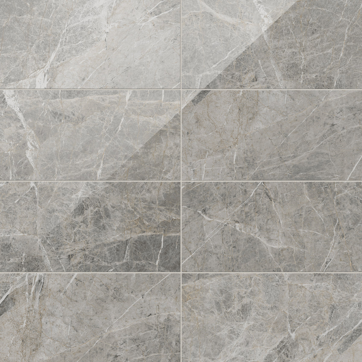 Chantel 12 x 24 Polished Porcelain Tile in Imperial