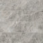 Chantel 12 x 24 Matte Porcelain Tile in Imperial