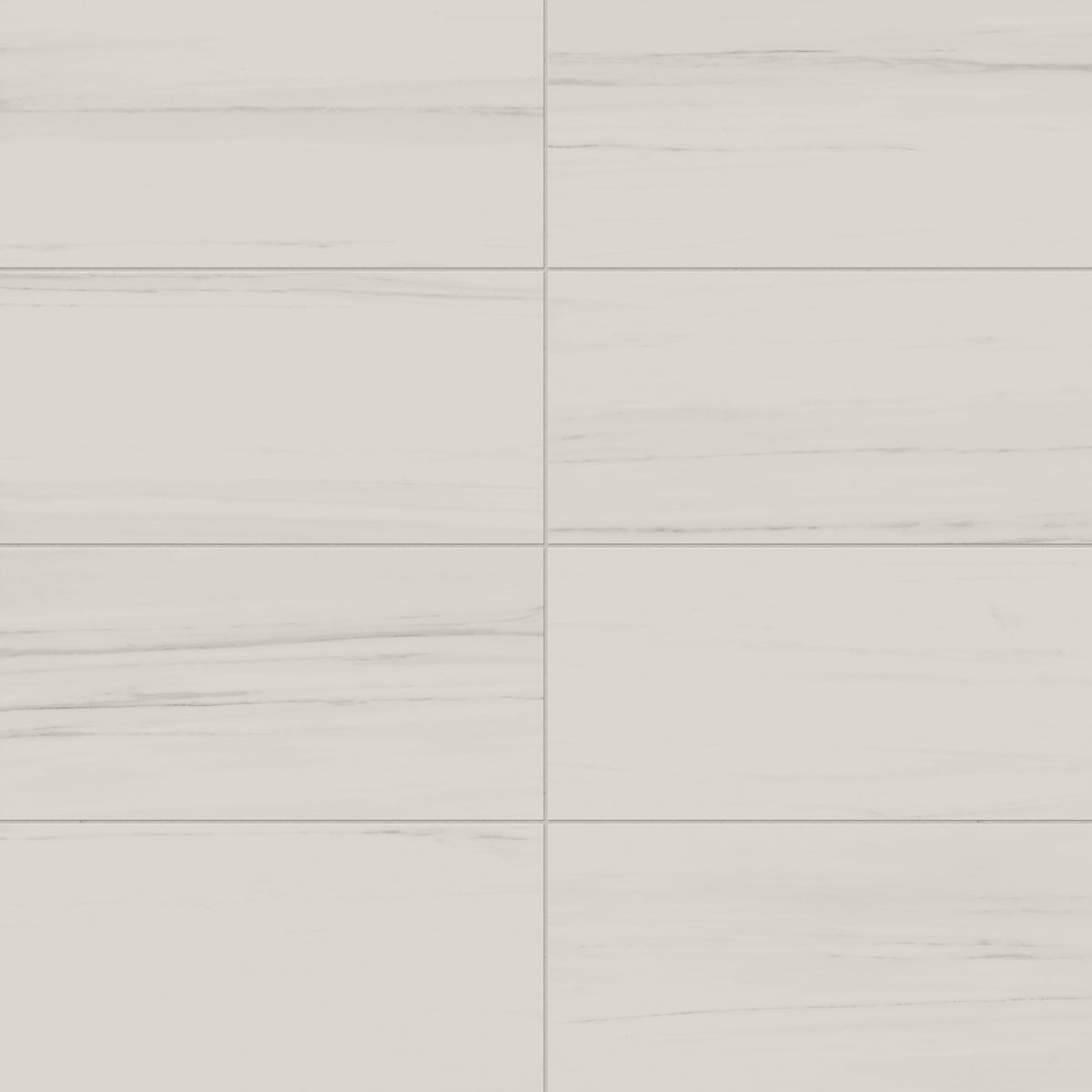 Chantel 12 x 24 Matte Porcelain Tile in Dolomite