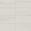Chantel 12 x 24 Matte Porcelain Tile in Dolomite