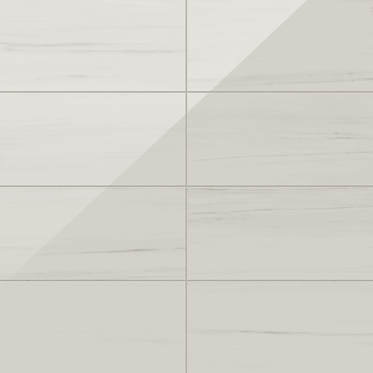 Chantel 12 x 24 Polished Porcelain Tile in Dolomite