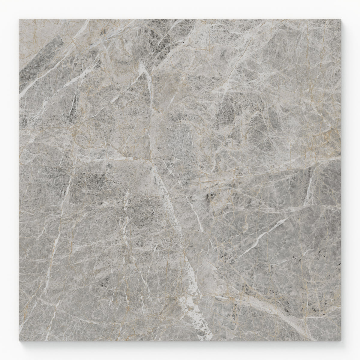 Chantel 24 x 24 Matte Porcelain Tile in Imperial