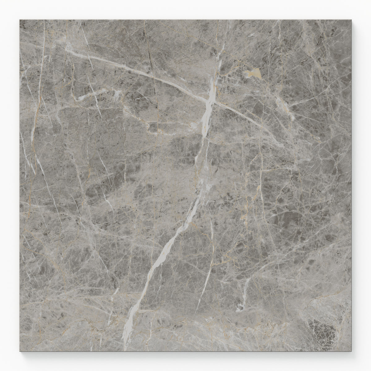 Chantel 24 x 24 Polished Porcelain Tile in Imperial
