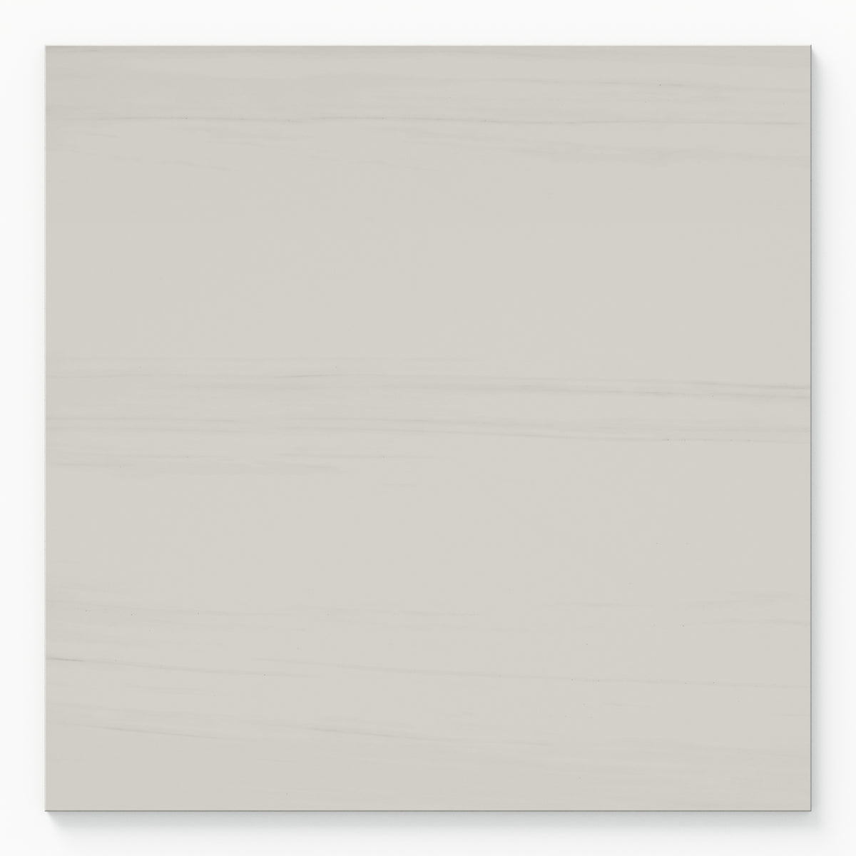 Chantel 24 x 24 Polished Porcelain Tile in Dolomite