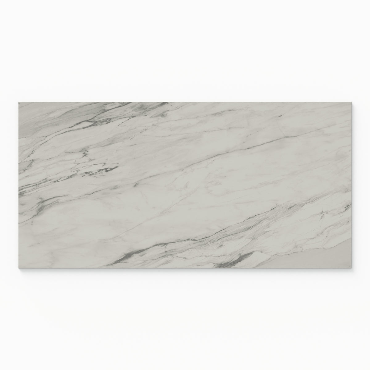 Chantel 24 x 48 Matte Porcelain Tile in Apuano