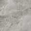 Chantel 24 x 48 Matte Porcelain Tile in Imperial