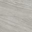 Chantel 24 x 48 Matte Porcelain Tile in Alaska Grey