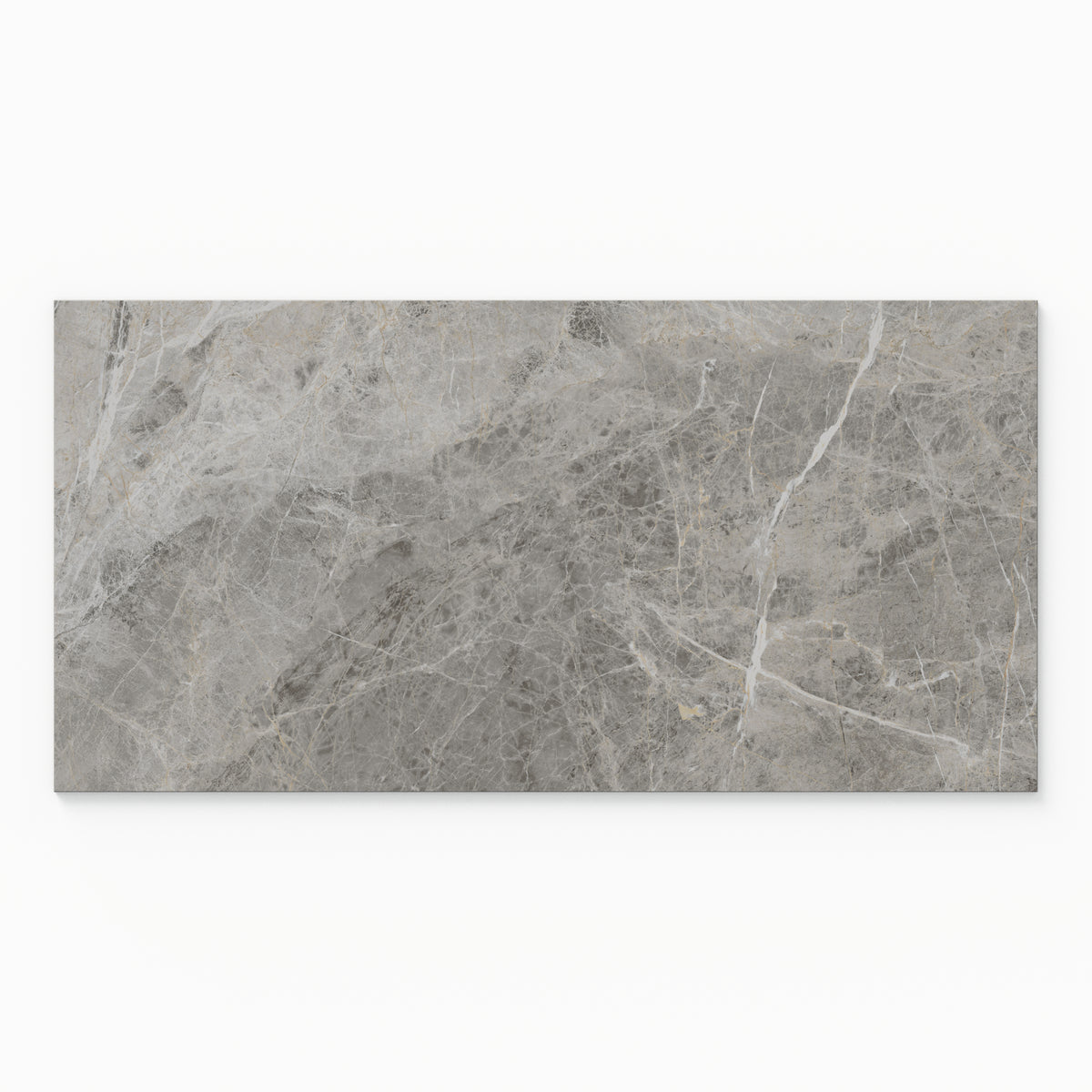 Chantel 24 x 48 Polished Porcelain Tile in Imperial