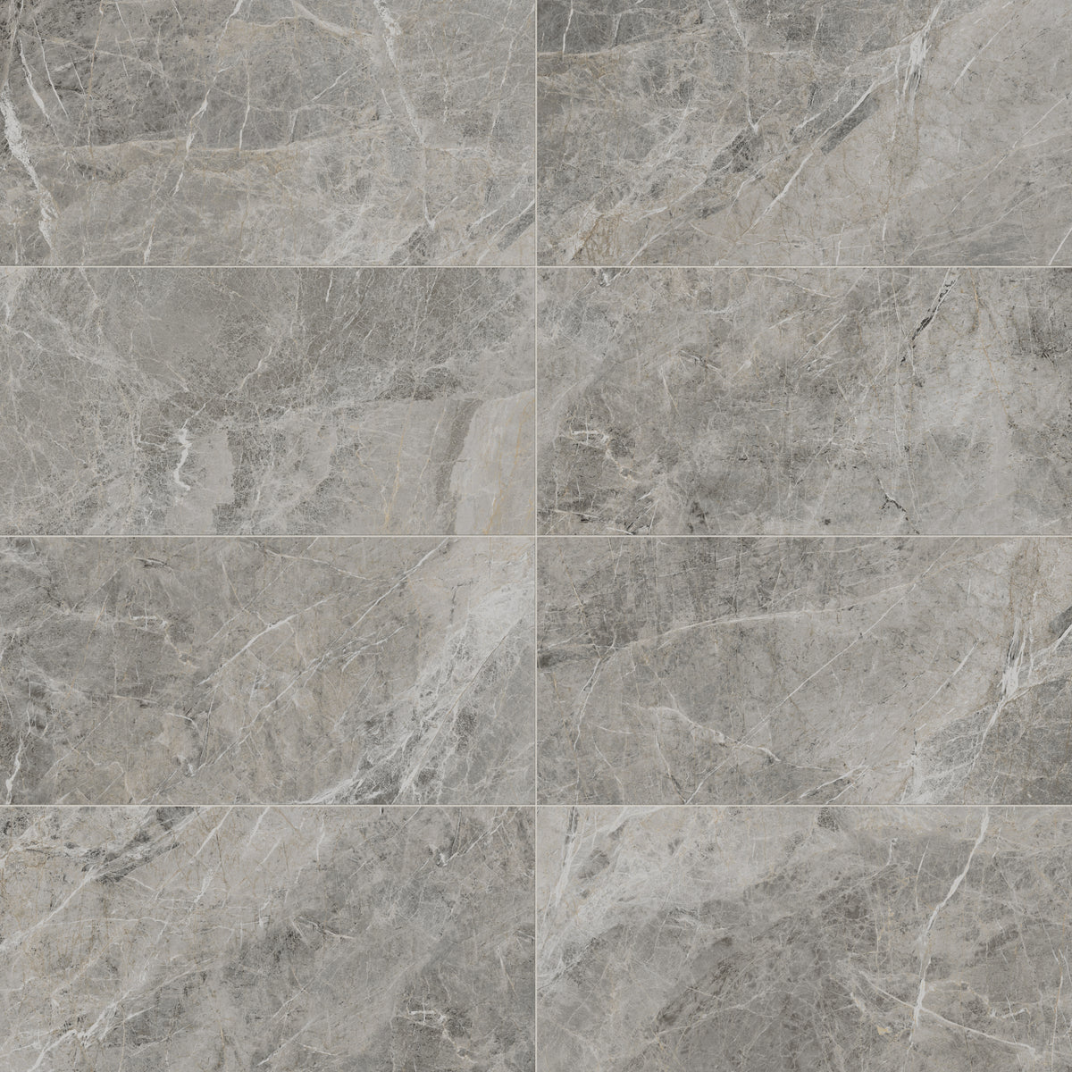 Chantel 24 x 48 Polished Porcelain Tile in Imperial