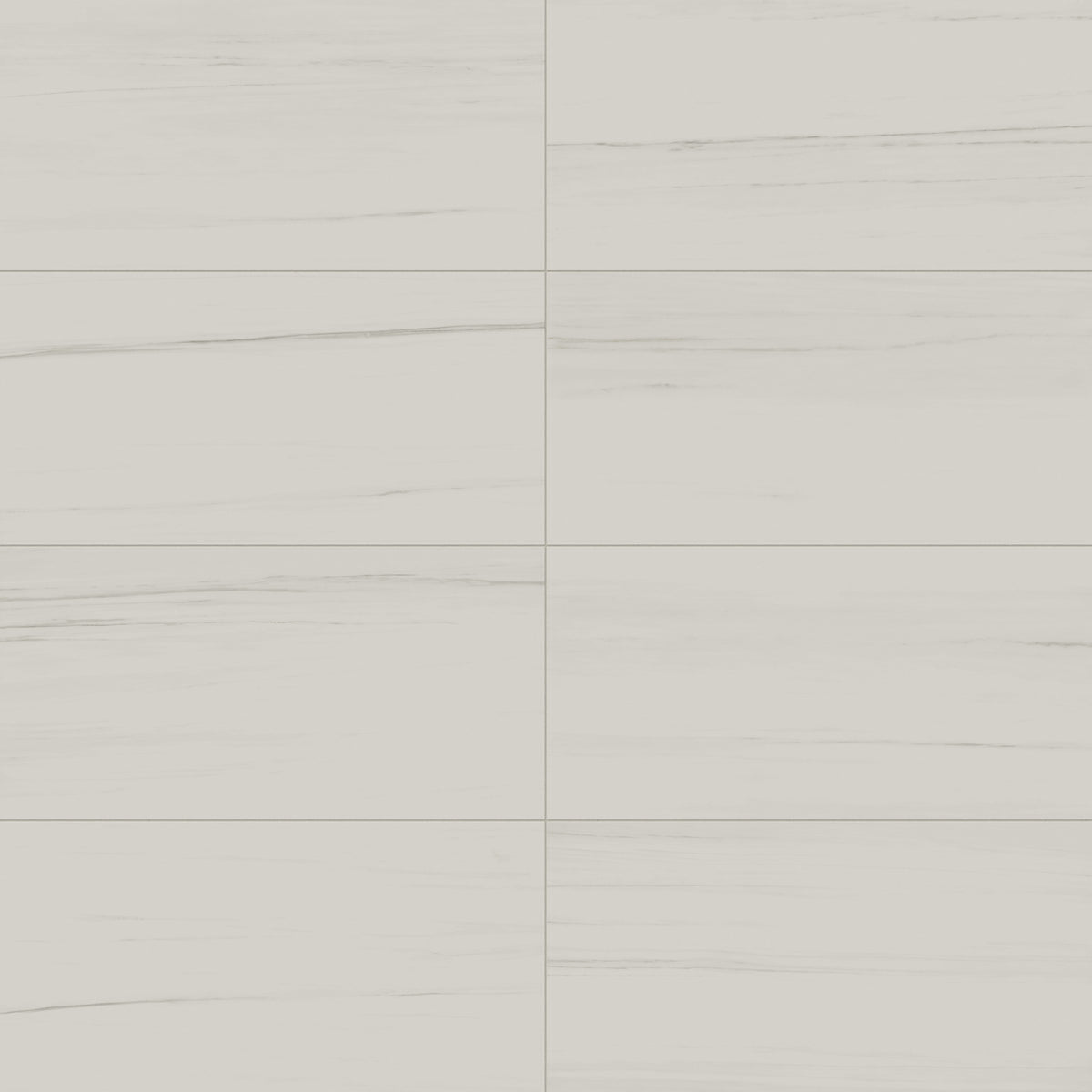 Chantel 24 x 48 Polished Porcelain Tile in Dolomite