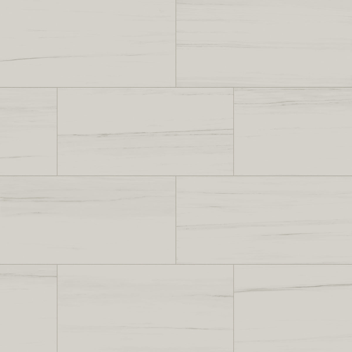 Chantel 24 x 48 Polished Porcelain Tile in Dolomite