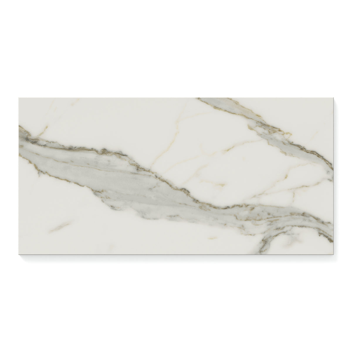 Aniston 12 x 24 Matte Porcelain Tile in Calacatta Top