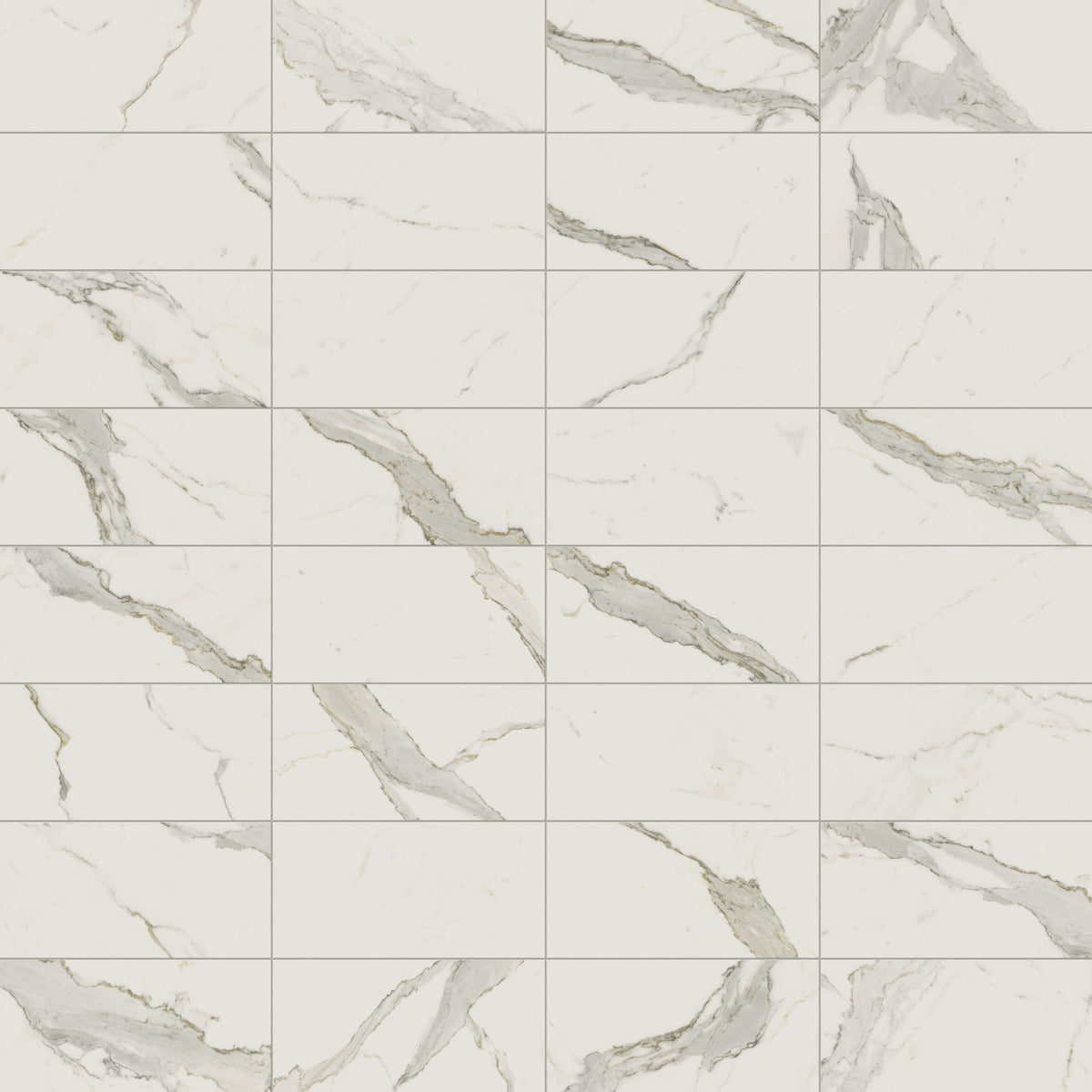Aniston 12 x 24 Matte Porcelain Tile in Calacatta Top