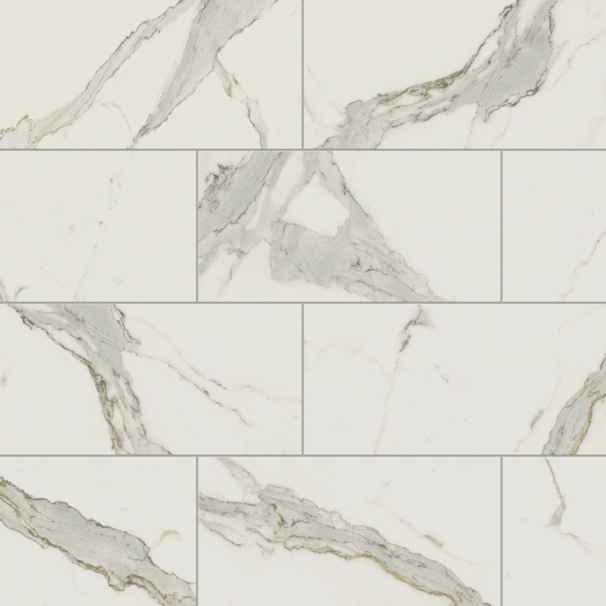 Aniston 12 x 24 Matte Porcelain Tile in Calacatta Top