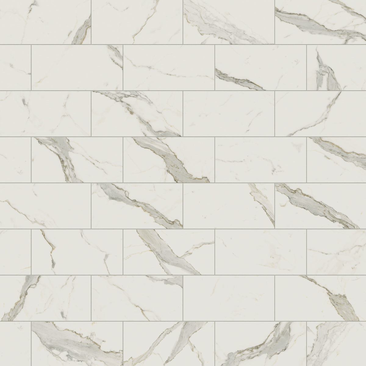 Aniston 12 x 24 Matte Porcelain Tile in Calacatta Top