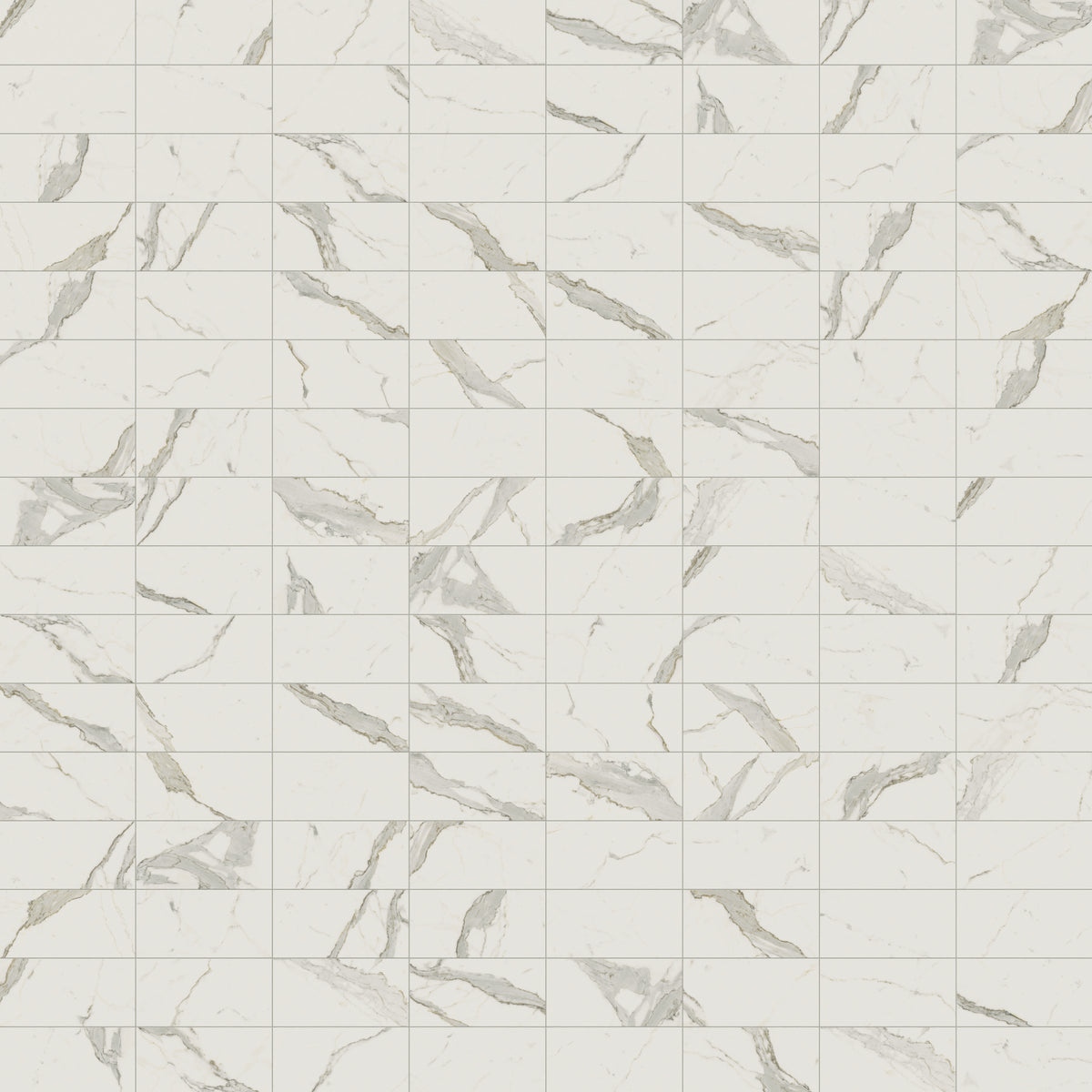 Aniston 12 x 24 Matte Porcelain Tile in Calacatta Top