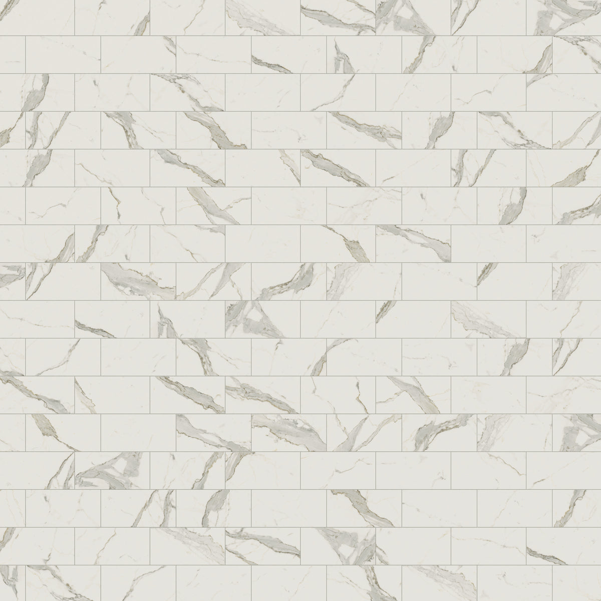 Aniston 12 x 24 Matte Porcelain Tile in Calacatta Top