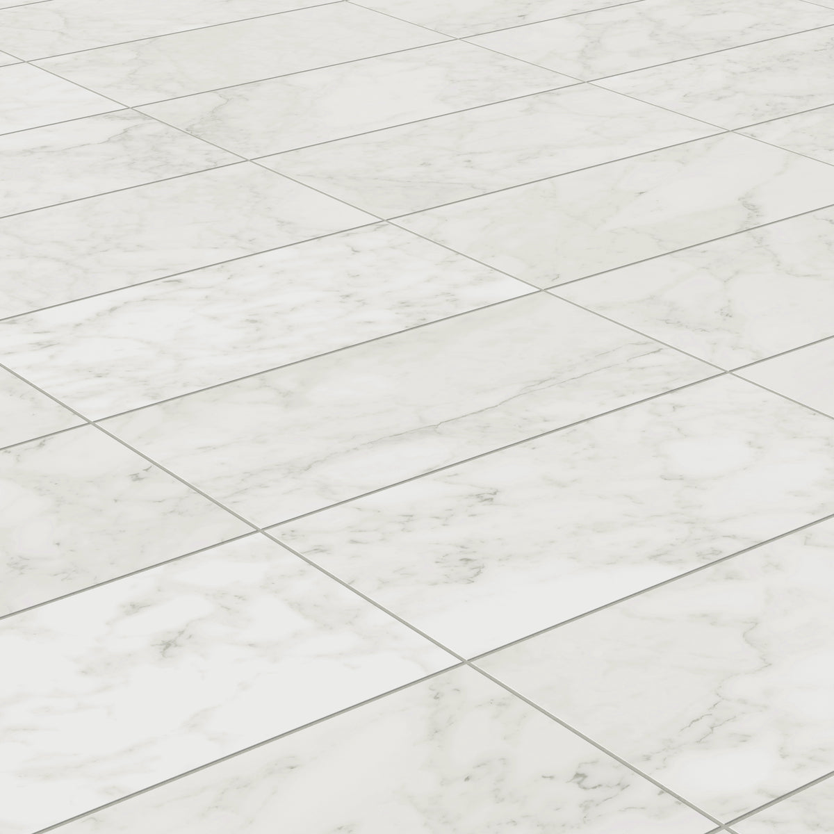 Aniston 12 x 24 Matte Porcelain Tile in Carrara Bianco