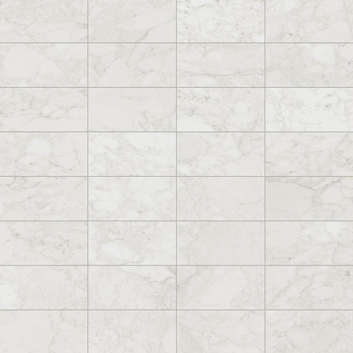 Aniston 12 x 24 Matte Porcelain Tile in Carrara Bianco