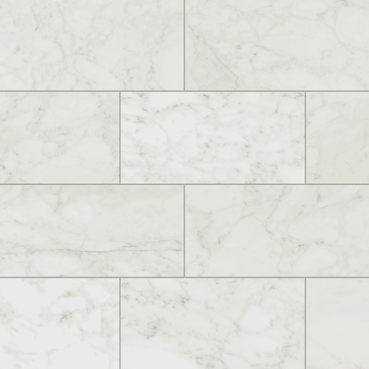 Aniston 12 x 24 Matte Porcelain Tile in Carrara Bianco