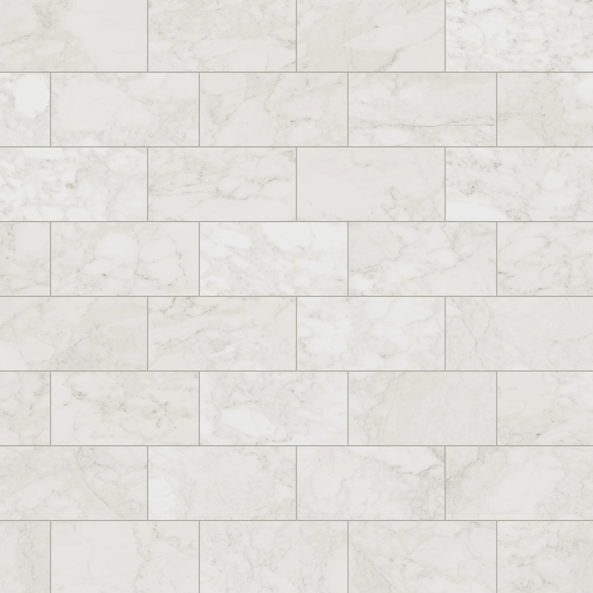 Aniston 12 x 24 Matte Porcelain Tile in Carrara Bianco