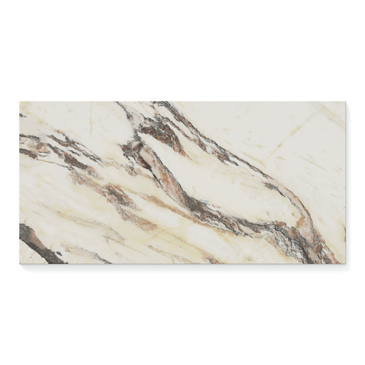Aniston 12 x 24 Matte Porcelain Tile in Calacatta Viola