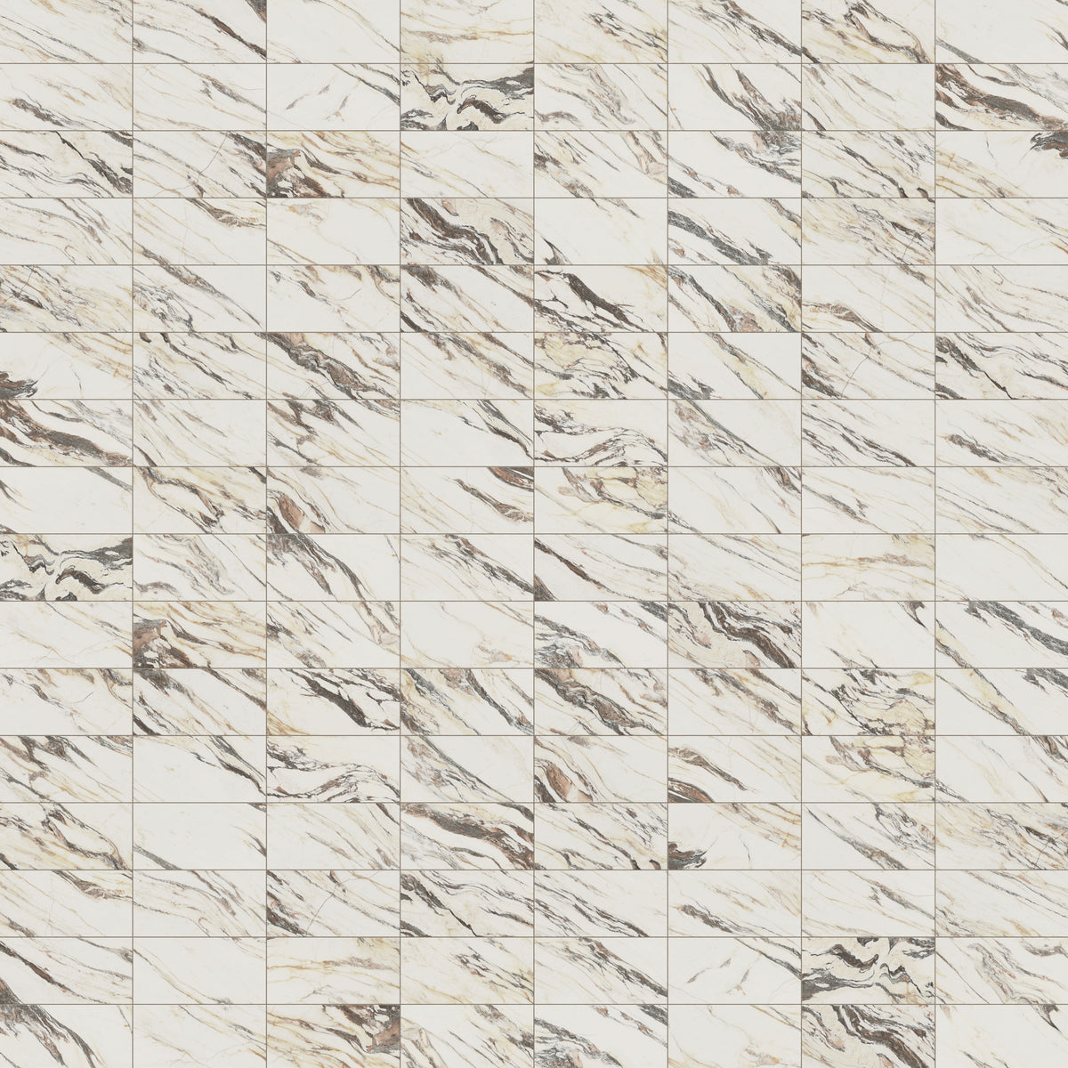 Aniston 12 x 24 Matte Porcelain Tile in Calacatta Viola