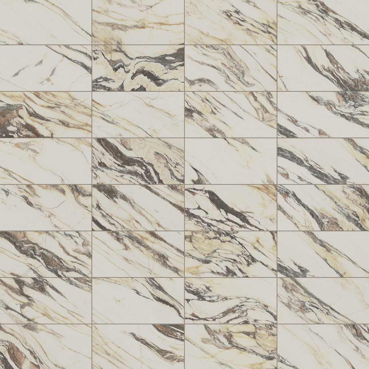 Aniston 12 x 24 Polished Porcelain Tile in Calacatta Viola