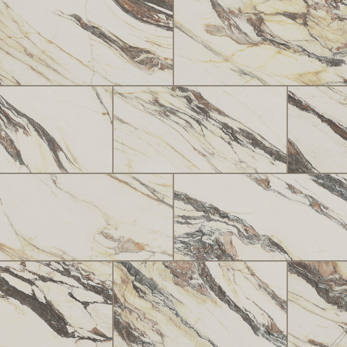 Aniston 12 x 24 Polished Porcelain Tile in Calacatta Viola