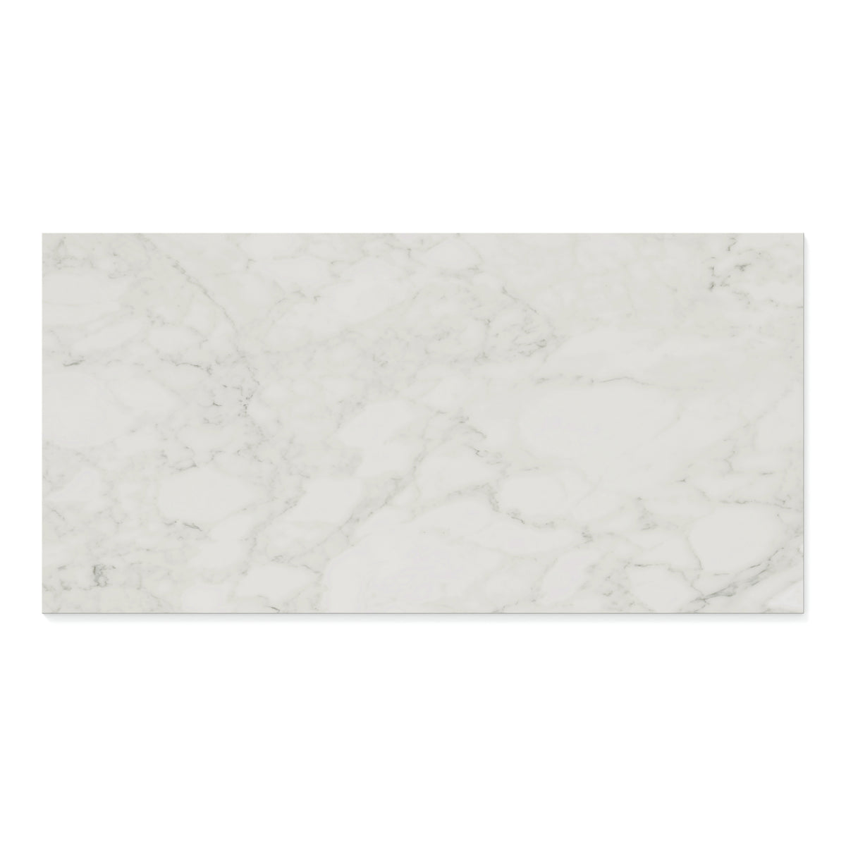 Aniston 24 x 48 Matte Porcelain Tile in Carrara Bianco